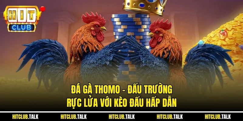 Đá Gà Thomo